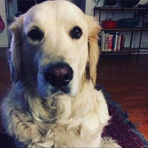 Meet your Posher, Lydia